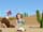 Slide thumbnail