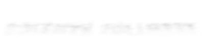 Bozeman Software title